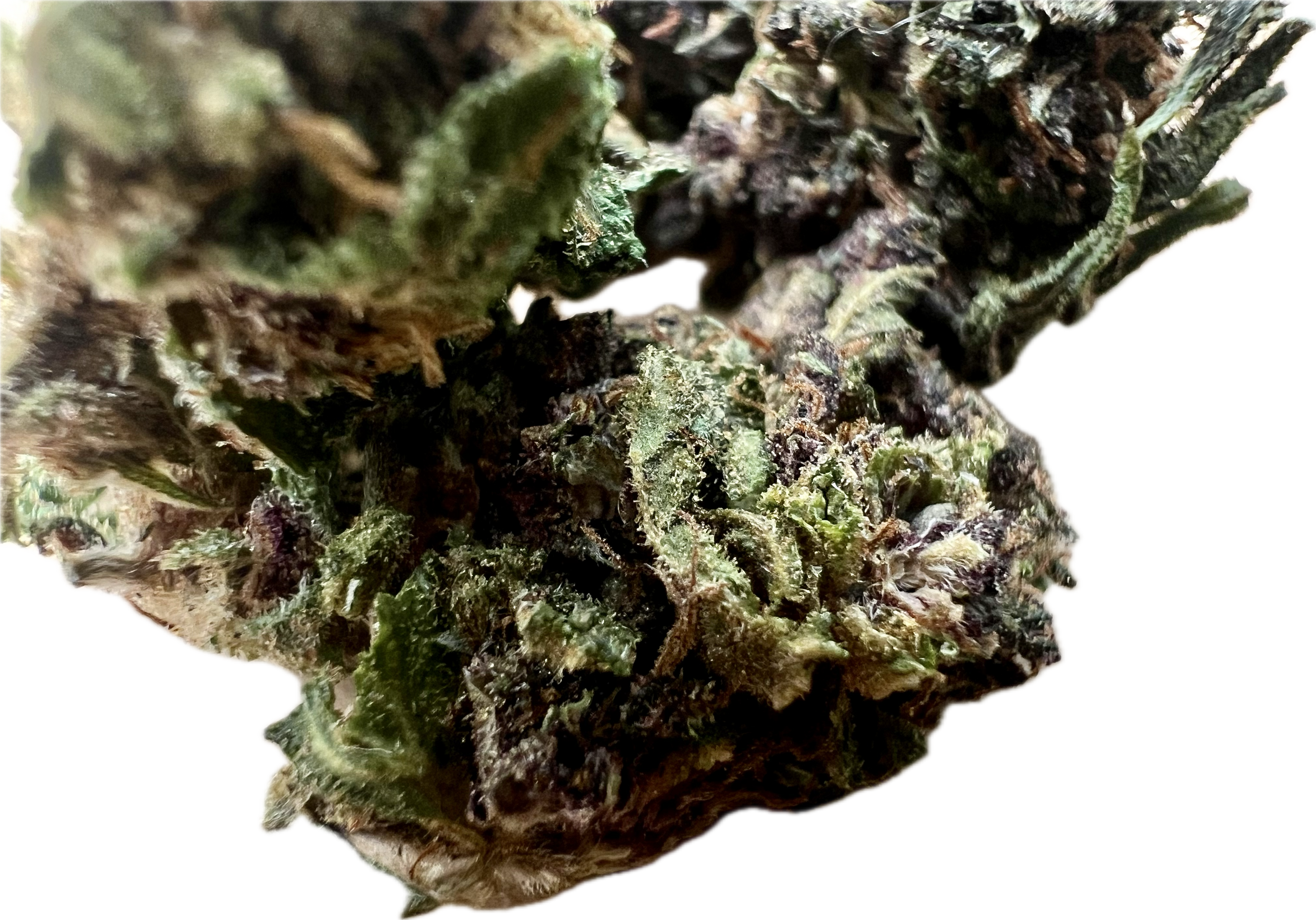 Ripkitty Legendary Platinum OG CBD Hemp Flowers