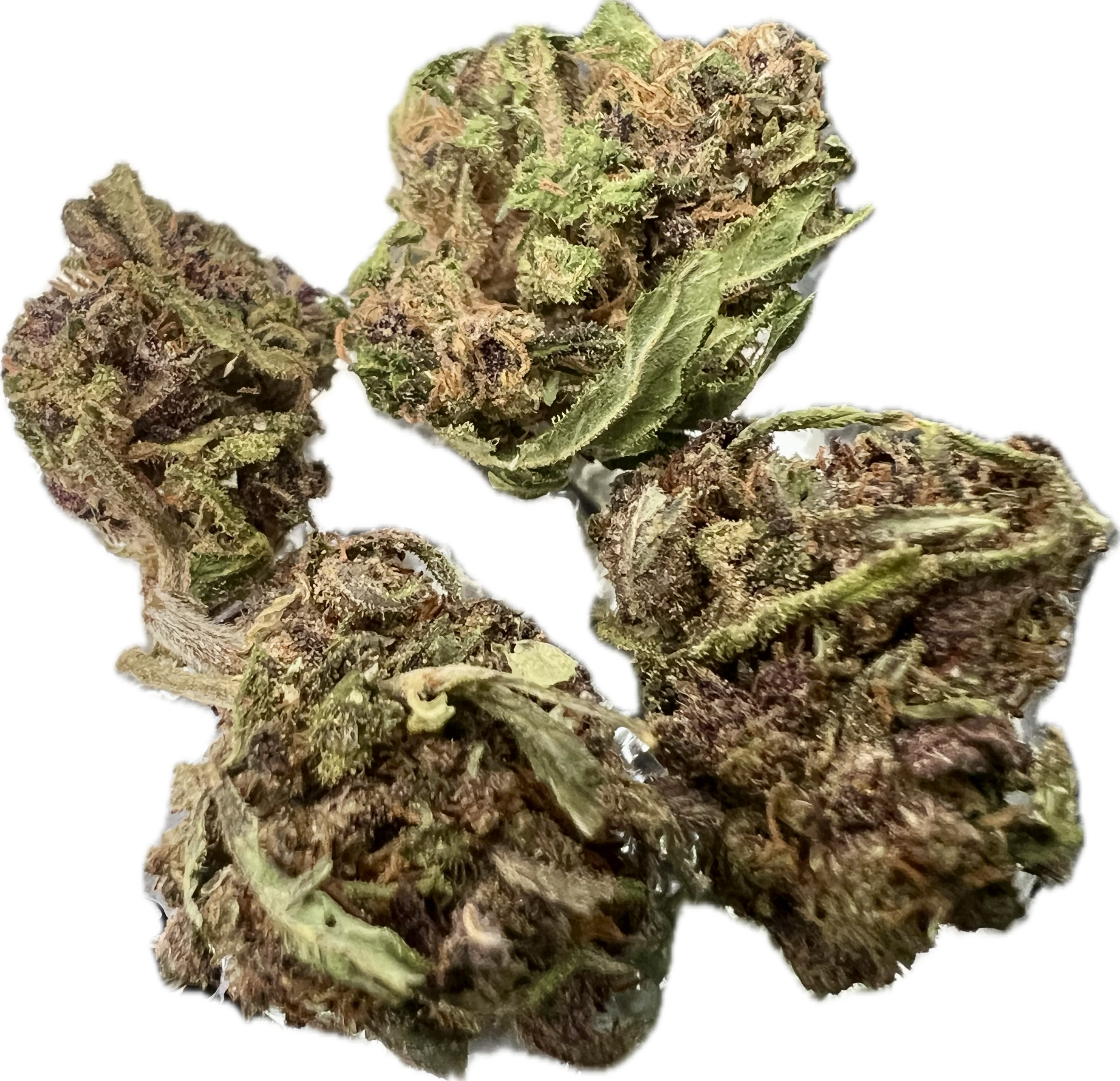Ripkitty Legendary Platinum OG CBD Hemp Flowers