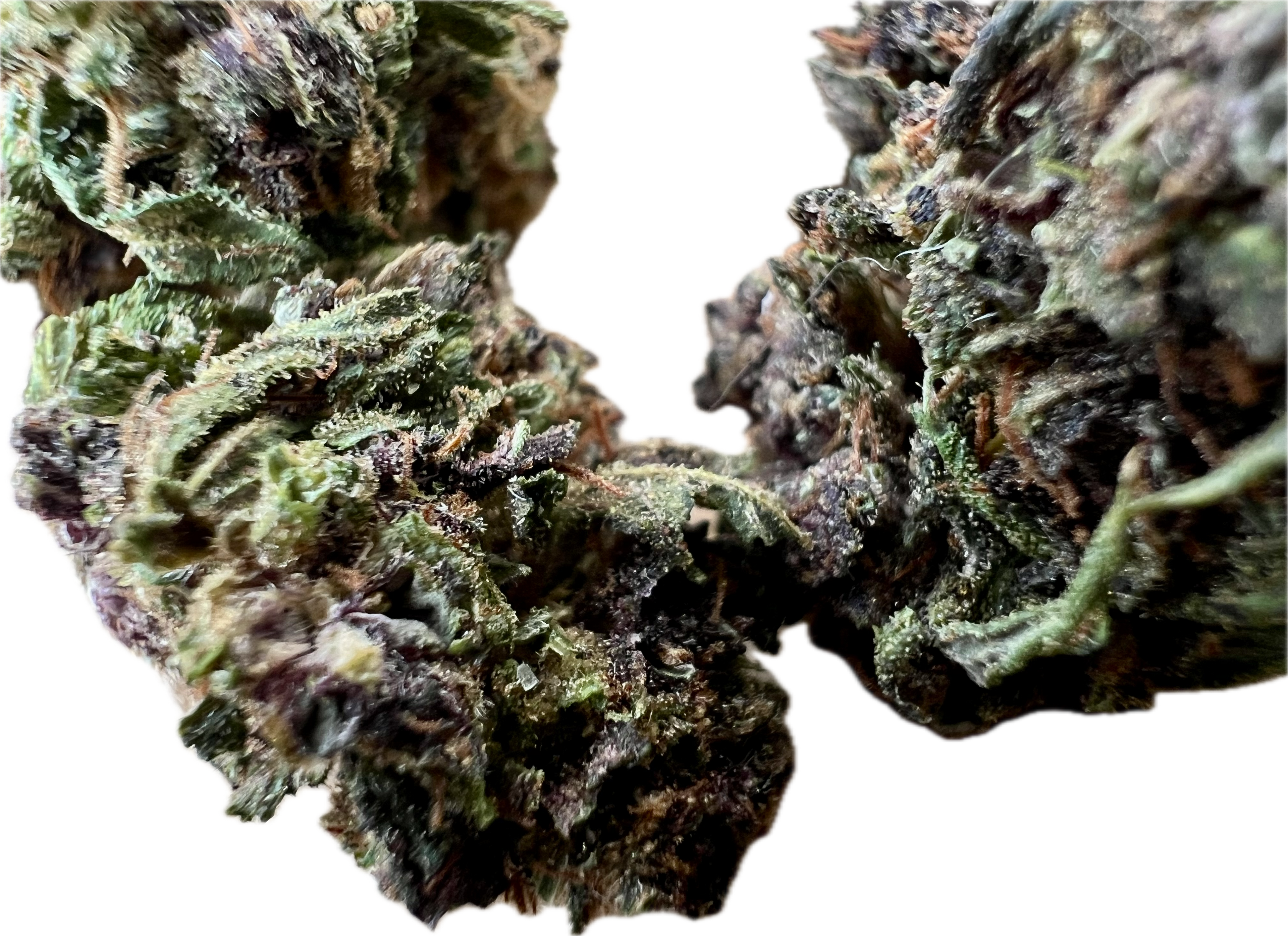 Ripkitty Legendary Platinum OG CBD Hemp Flowers